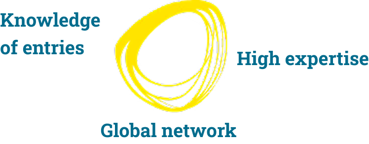 Knowledge of enties High expertise Global network